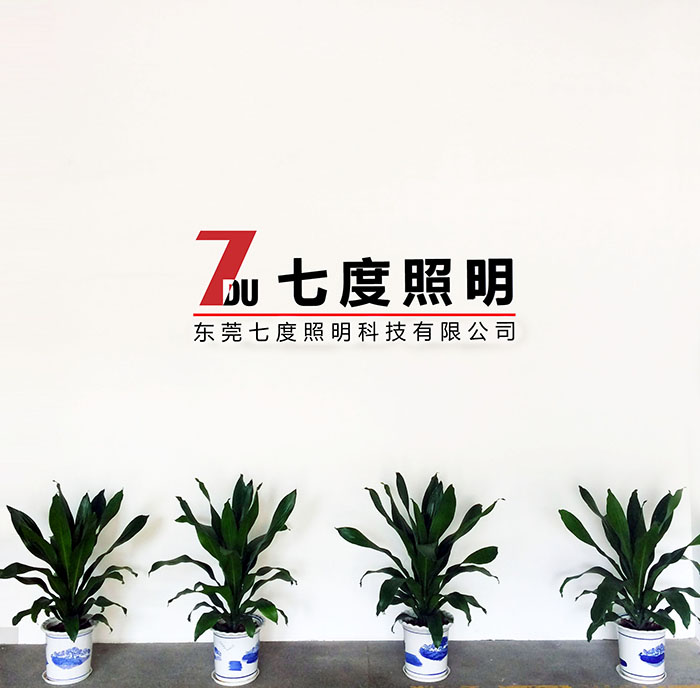 东莞榴莲视频污污照明前台LOGO